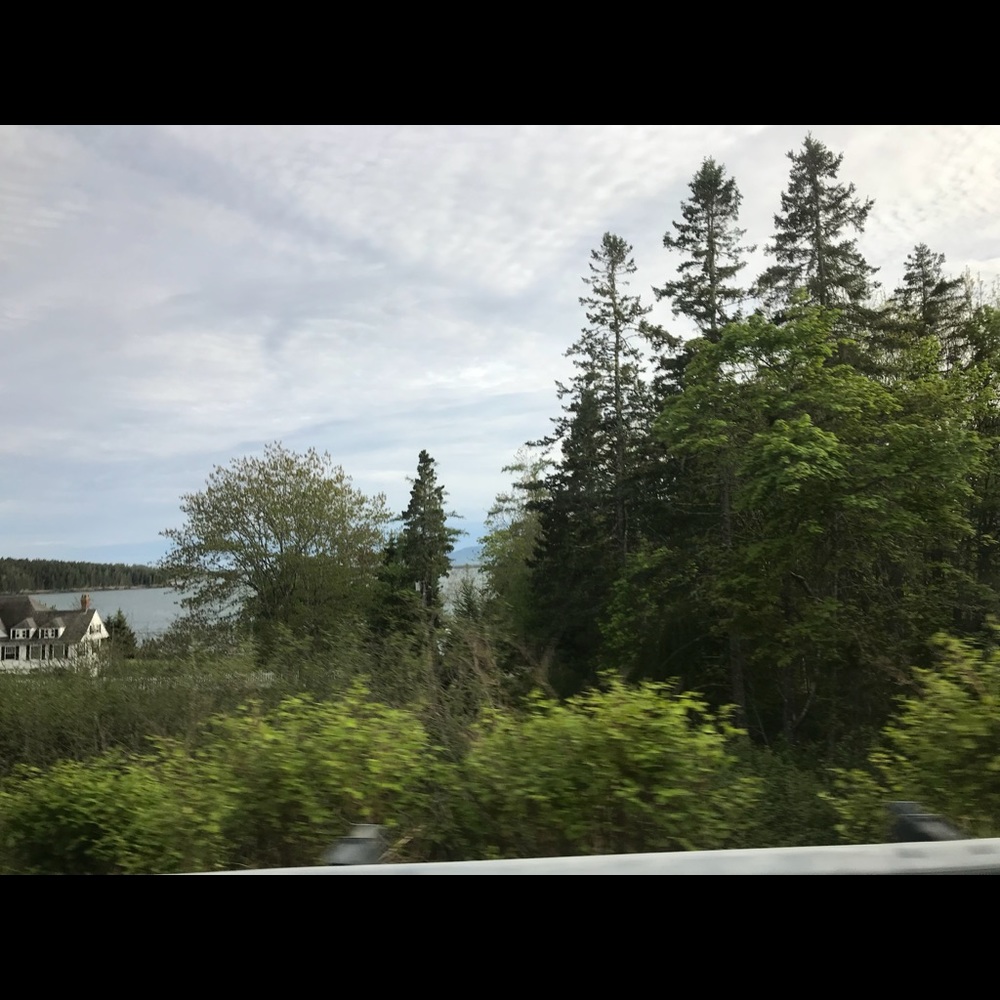 Meet your Posher, Jess